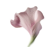 Równowaga, harmonia i stabilność.