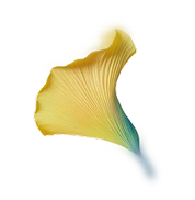 Energia, dynamiczna, pełna życia scena.