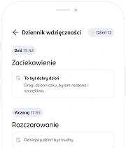 Diary entry on the phone